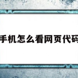 手机怎么看网页代码(手机怎么看网页原代码)