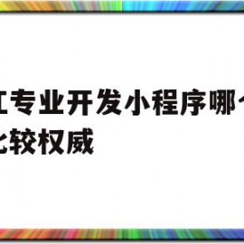 包含浙江专业开发小程序哪个公司比较权威的词条