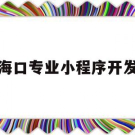 海口专业小程序开发(海口程序员工作好找吗)