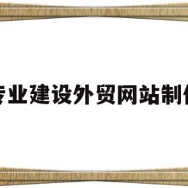 专业建设外贸网站制作(外贸网站建设是做什么的)