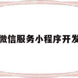 微信服务小程序开发(微信小程序开发平台官网)
