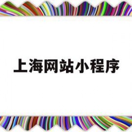 上海网站小程序(上海小程序制作公司)