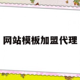 网站模板加盟代理(加盟创业网站模板开发程序)