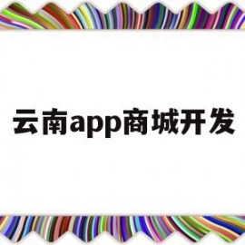 云南app商城开发(云南app开发免费教程)