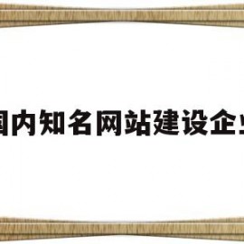 国内知名网站建设企业(查企业查询入口)