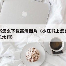 小红书怎么下载高清图片（小红书上怎么下载图片无水印）