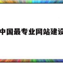 中国最专业网站建设(中国网站建设知名公司)