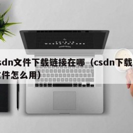 csdn文件下载链接在哪（csdn下载的文件怎么用）