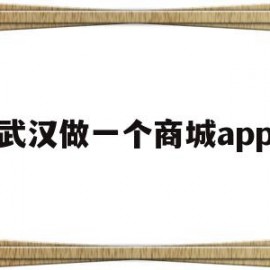 武汉做一个商城app(武汉做电商的集中在哪?)