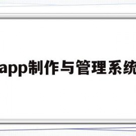 app制作与管理系统(app制作流程的三个环节)