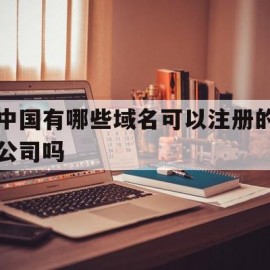 关于中国有哪些域名可以注册的公司吗的信息