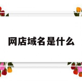 网店域名是什么(店铺域名是淘宝网址吗)
