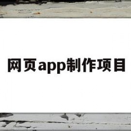 网页app制作项目(网页app制作项目介绍)
