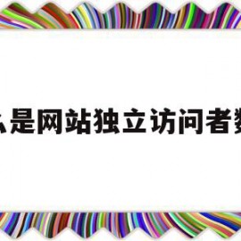 什么是网站独立访问者数量(什么是网络独立访问者数量)