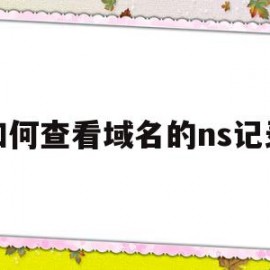 如何查看域名的ns记录(cn域名的ns记录是什么)