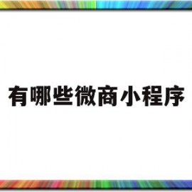 有哪些微商小程序(有哪些微商小程序软件)