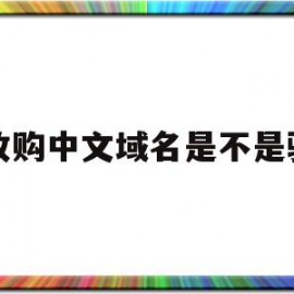 说收购中文域名是不是骗局的简单介绍