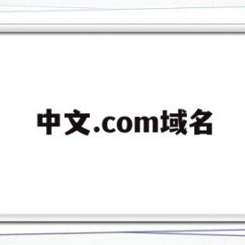 中文.com域名(中文com域名注册)