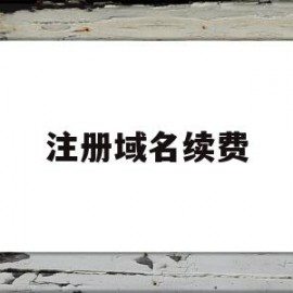 注册域名续费(域名注册费怎么入账)