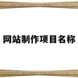 关于网站制作项目名称的信息