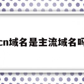 cn域名是主流域名吗(cn是什么类型的域名cn)