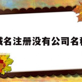域名注册没有公司名称(域名注册没有公司名称有影响吗)