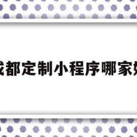 成都定制小程序哪家好(成都定制小程序哪家好一点)