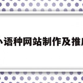 小语种网站制作及推广(小语种网站制作及推广方案)
