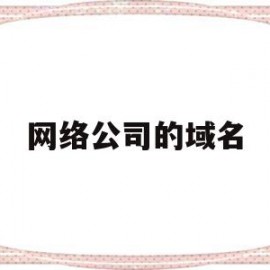 网络公司的域名(网络公司的域名怎么看)