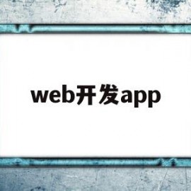 web开发app(Web开发技术名词解释)