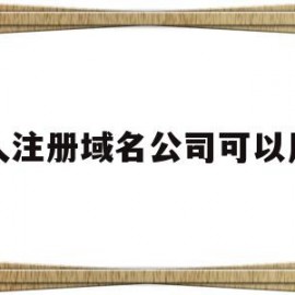 个人注册域名公司可以用吗(个人注册域名和公司注册域名区别)