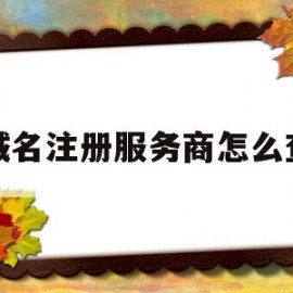 域名注册服务商怎么查(域名注册服务商怎么查询)