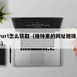 推特url怎么获取（推特里的网址链接怎么打开）