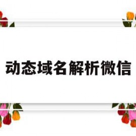 动态域名解析微信(动态域名解析是什么意思)