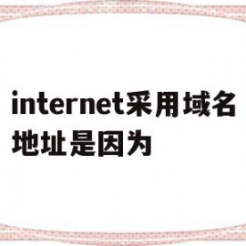 internet采用域名地址是因为(internet中用于域名与ip之间的转换)