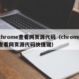 chrome查看网页源代码（chrome查看网页源代码快捷键）