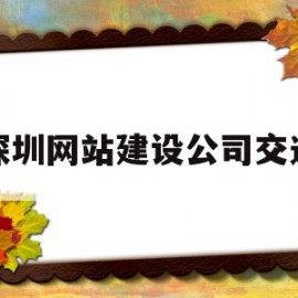 深圳网站建设公司交通(深圳交通运输网络监管平台)