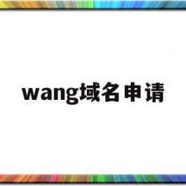 wang域名申请(域名网站申请)