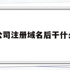 公司注册域名后干什么(公司注册域名多少钱)