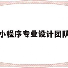 小程序专业设计团队(小程序专业设计团队有哪些)