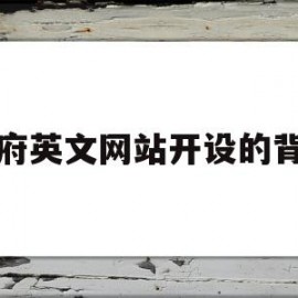 政府英文网站开设的背景(政府英文网站开设的背景怎么写)