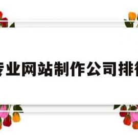 专业网站制作公司排行(专业网站制作公司排行榜最新)