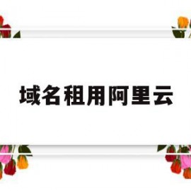 域名租用阿里云(阿里云万网域名购买)