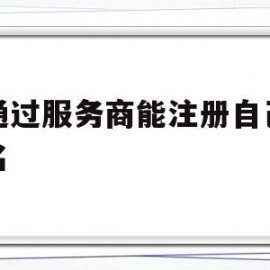 关于不通过服务商能注册自己的域名的信息