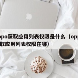 oppo获取应用列表权限是什么（oppo读取应用列表权限在哪）
