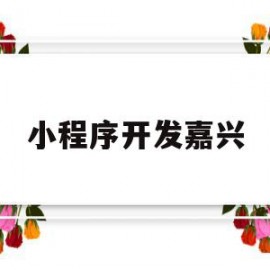 小程序开发嘉兴(小程序实战开发教程)