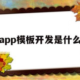 app模板开发是什么(app模板制作教程视频)