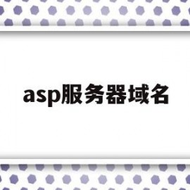 asp服务器域名(asp server)