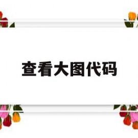 查看大图代码(点击查看大图)