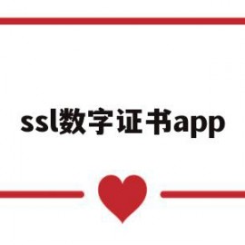 ssl数字证书app(ssl数字证书的应用流程)